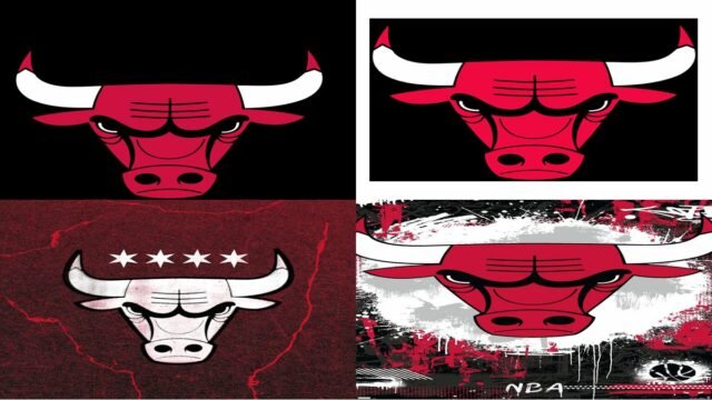 Chicago Bulls - Wikipedia
Chicago Bulls
