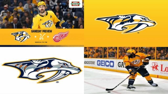Nashville Predators - Wikipedia
Official